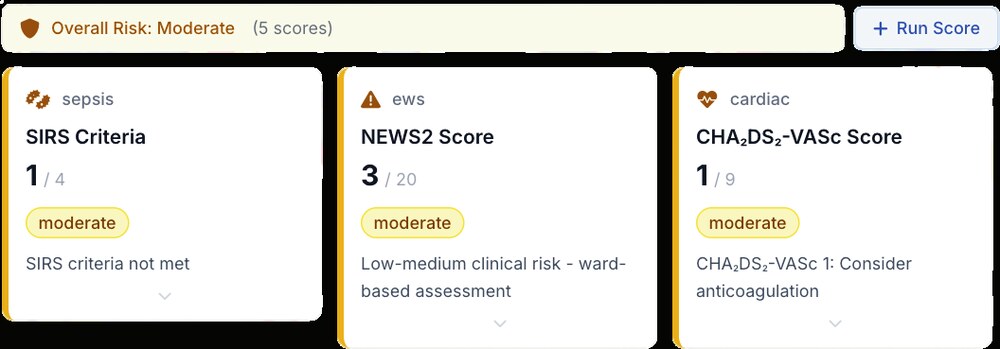 Active alerts and auto-calculated risk scores including SIRS, NEWS2 and CHA2DS2-VASc